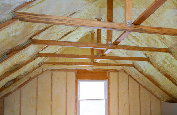 Best Insulation Materials and Products in Le Claire, IA