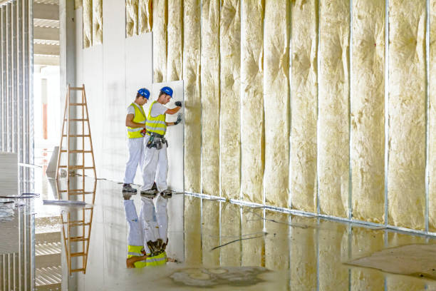 Best Insulation Maintenance and Repair in Le Claire, IA